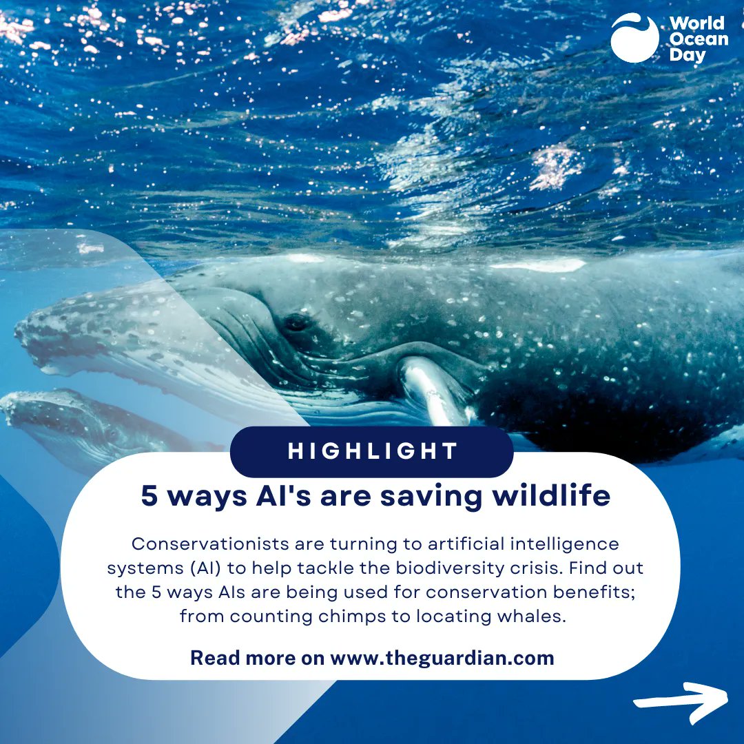 WorldOceansDay's tweet image. We collected the best #HappyHeadlines so you don't have to.