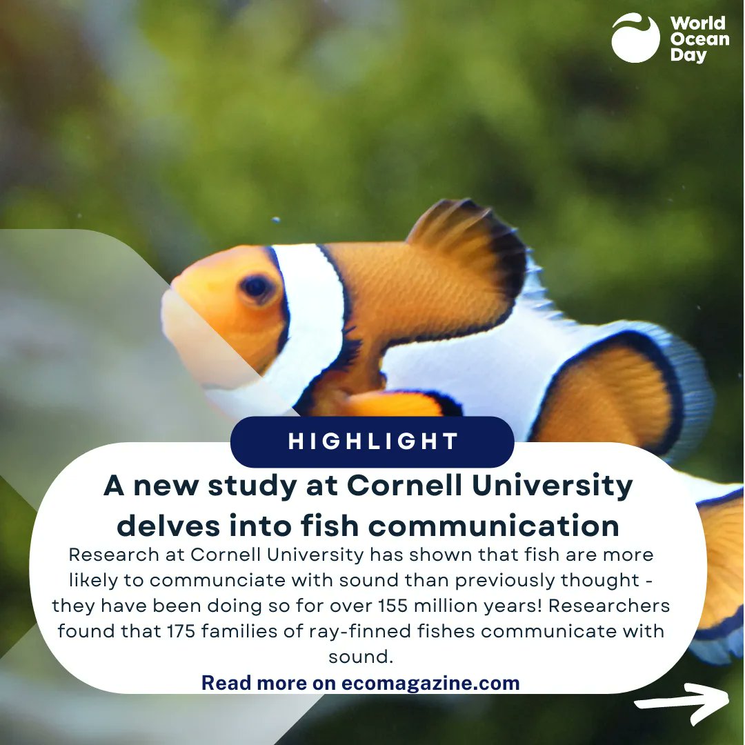 WorldOceansDay's tweet image. We collected the best #HappyHeadlines so you don't have to.