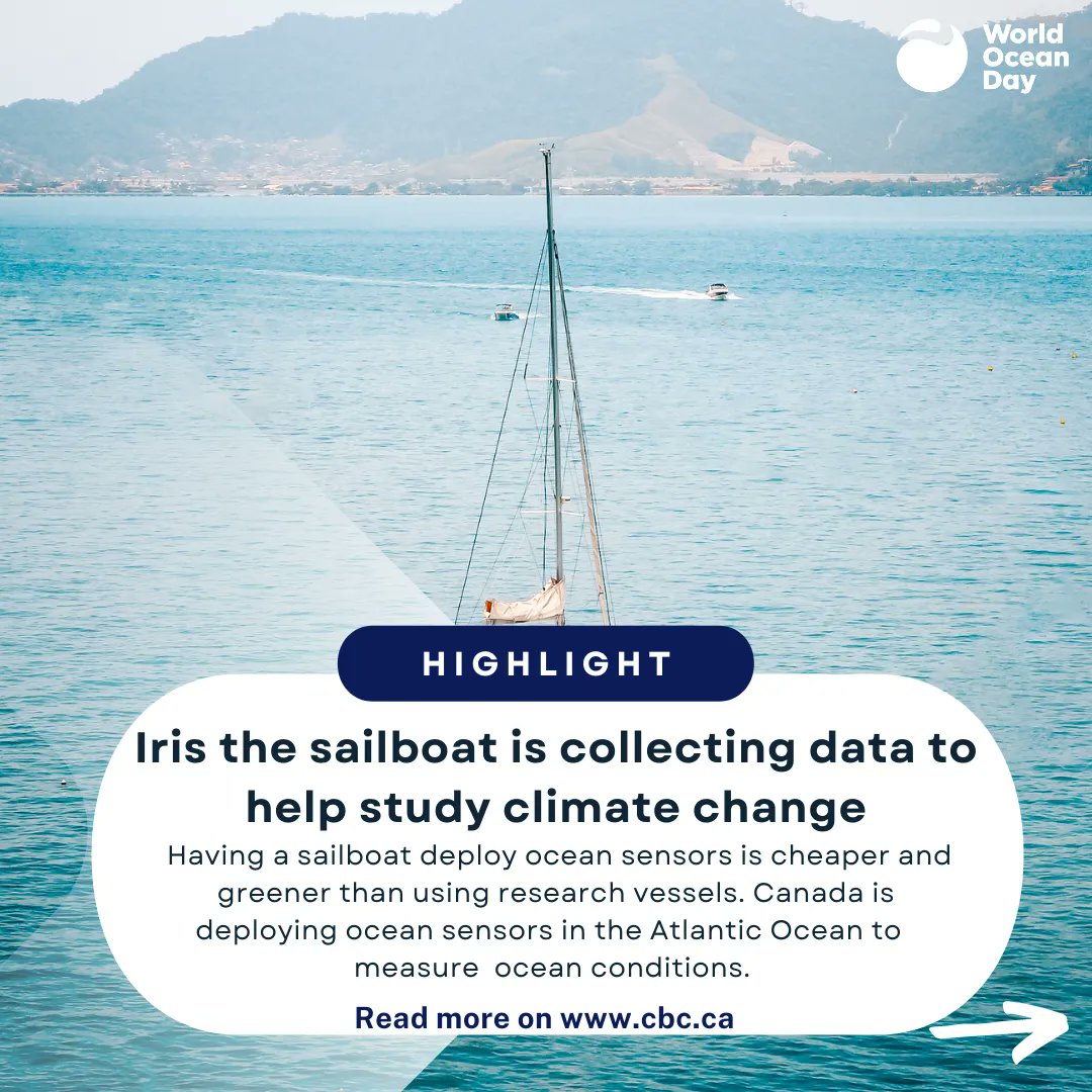 WorldOceansDay's tweet image. We collected the best #HappyHeadlines so you don't have to.