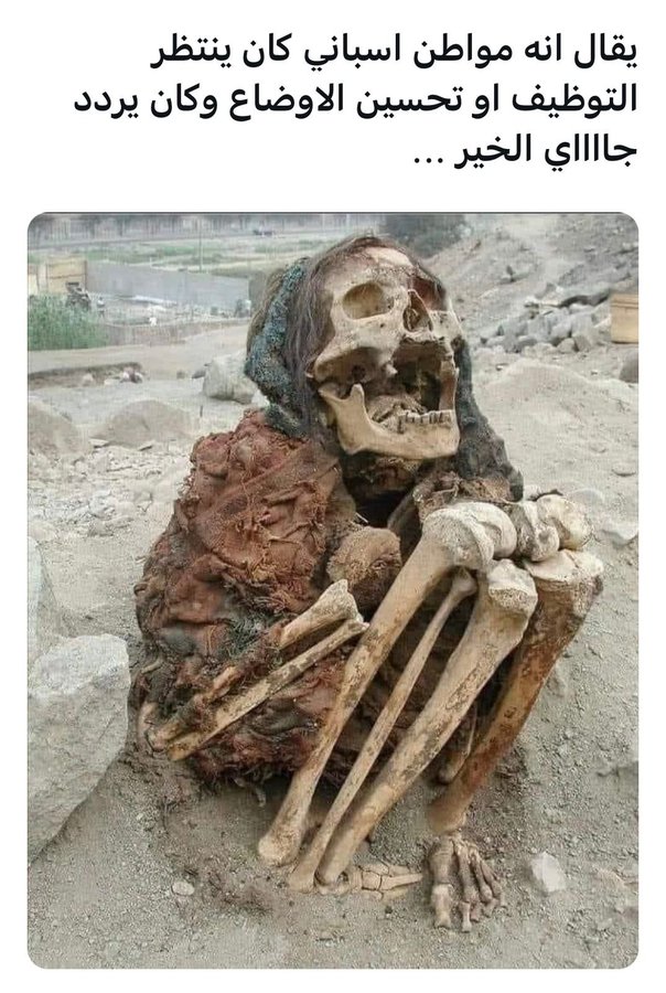 #باحثون_عن_عمل_يستغيثون368