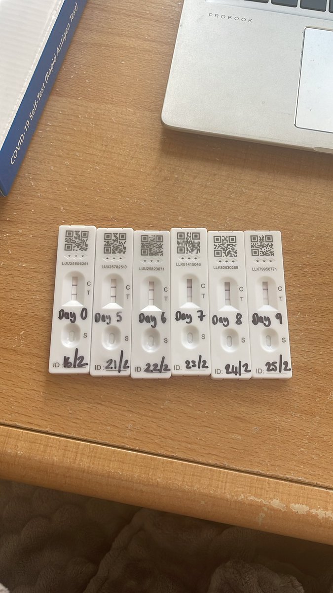 Abigail Hardman tweet media