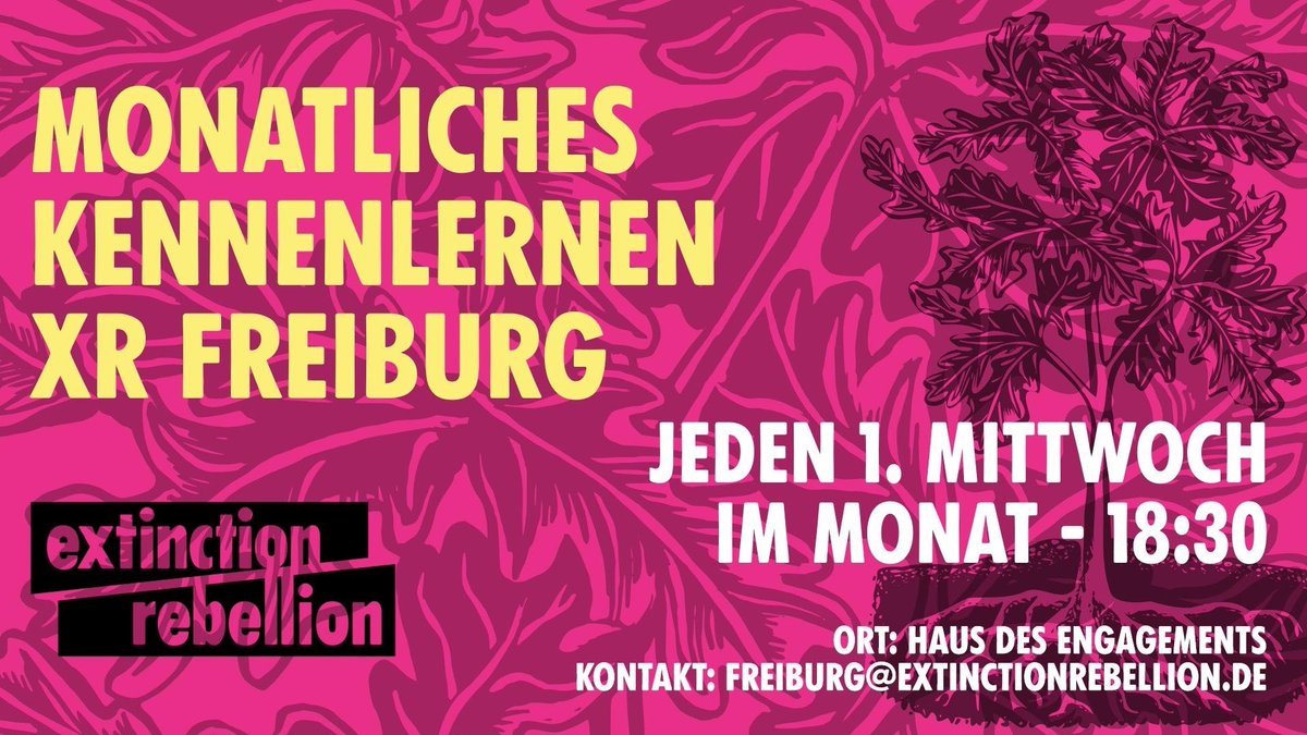 Extinction Rebellion Freiburg (@xr_freiburg) on Twitter photo 