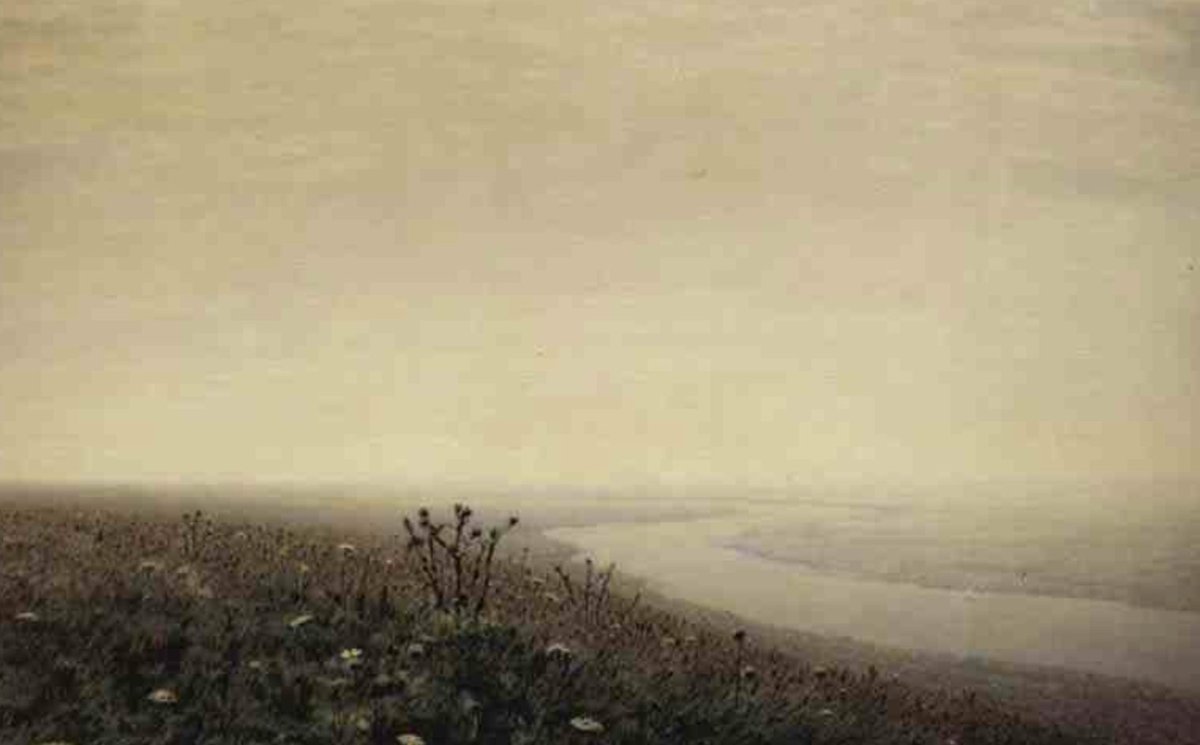 Hanna Scott tweet media