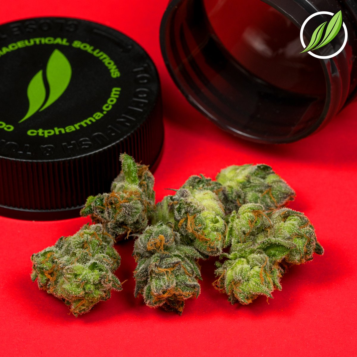 CTPharmaSol's tweet photo. Uvaden Flower SC T28% H 14035 - a hybrid with a pungent earth and lemon aroma paired with a sweet and fruity taste. (28.13% THC & 2.48% terpenes) #ctmmj #ctmmp #medicalmarijuana #alwaysgrowing https://t.co/9YJ8uZpMm3