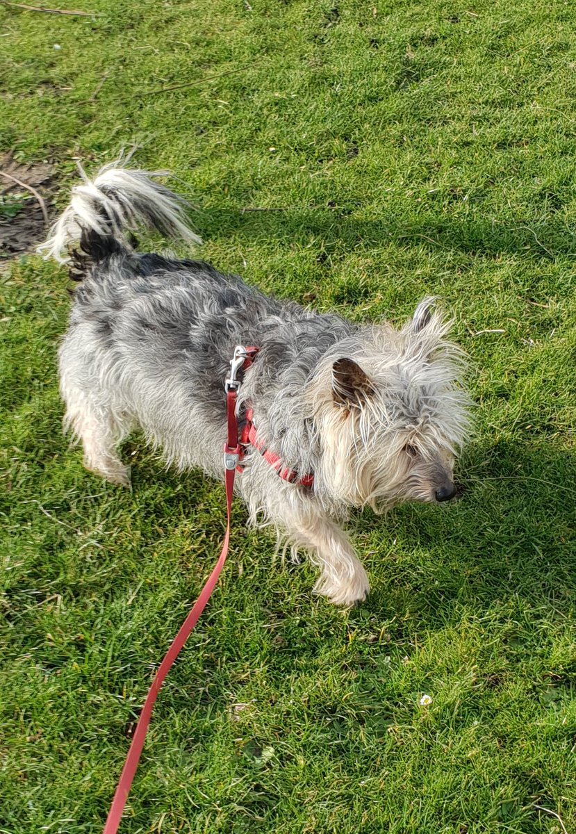 jennystape's tweet photo. Off out wiv me Dad....
#BoysTogether #NoWimminJustUs https://t.co/Xf3NcdUv9T