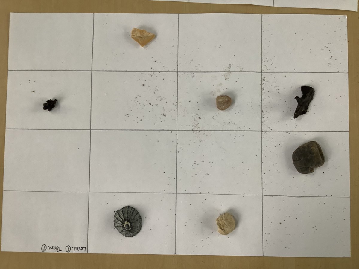 StrachurP's tweet photo. Archaeologists working in P1-4 ..... #strachur #argyllandbute #abplaceto2 #abc_OCTF #weeclass https://t.co/LuUDG3bjd0