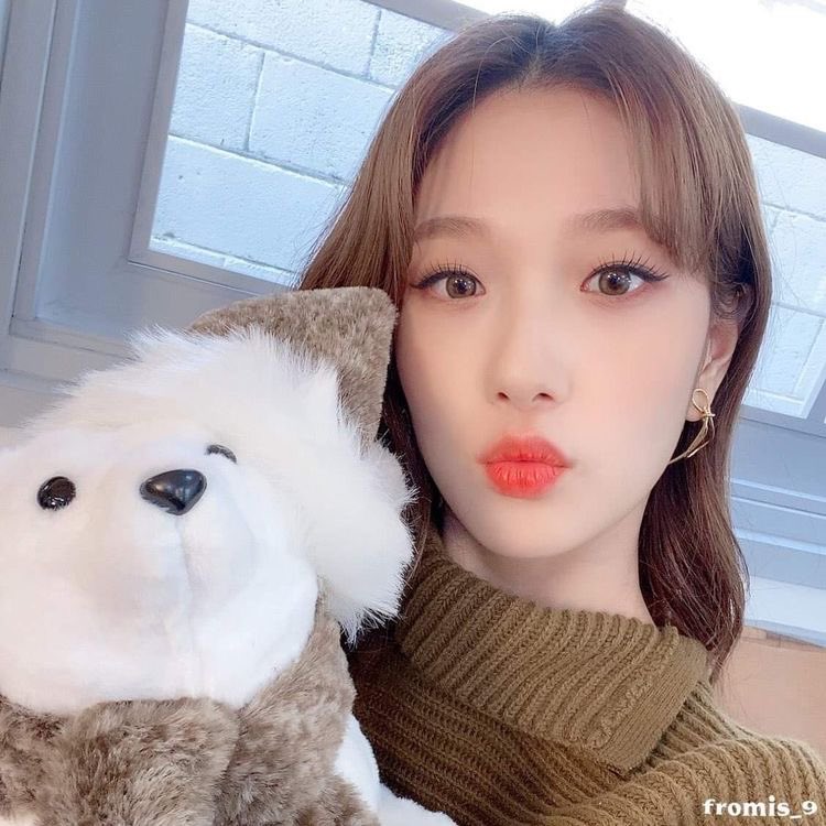 seoyeonfiles's tweet photo. https://t.co/vTkcjq1QBk