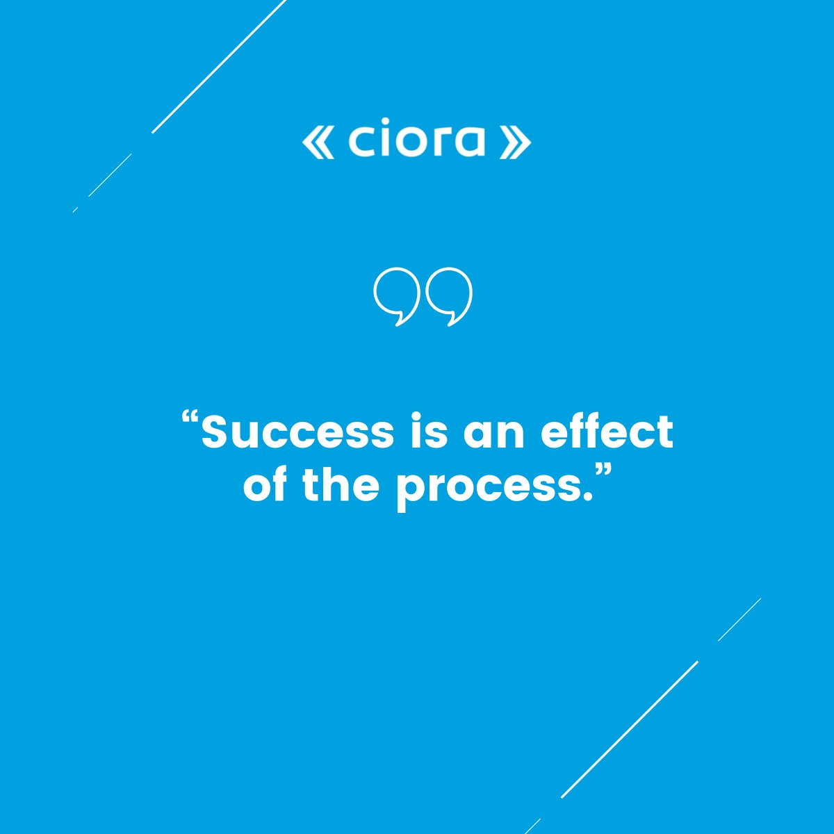 ciora_solutions's tweet image. Trust the process! #HappyFriday