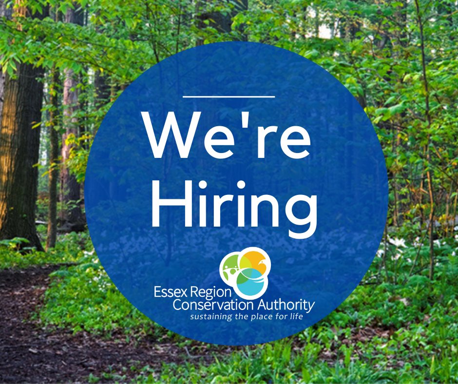ERCA is hiring an Interpreter, to assist with its museum and education programs! Learn more at: essexregionconservation.ca/resources/jobs/
