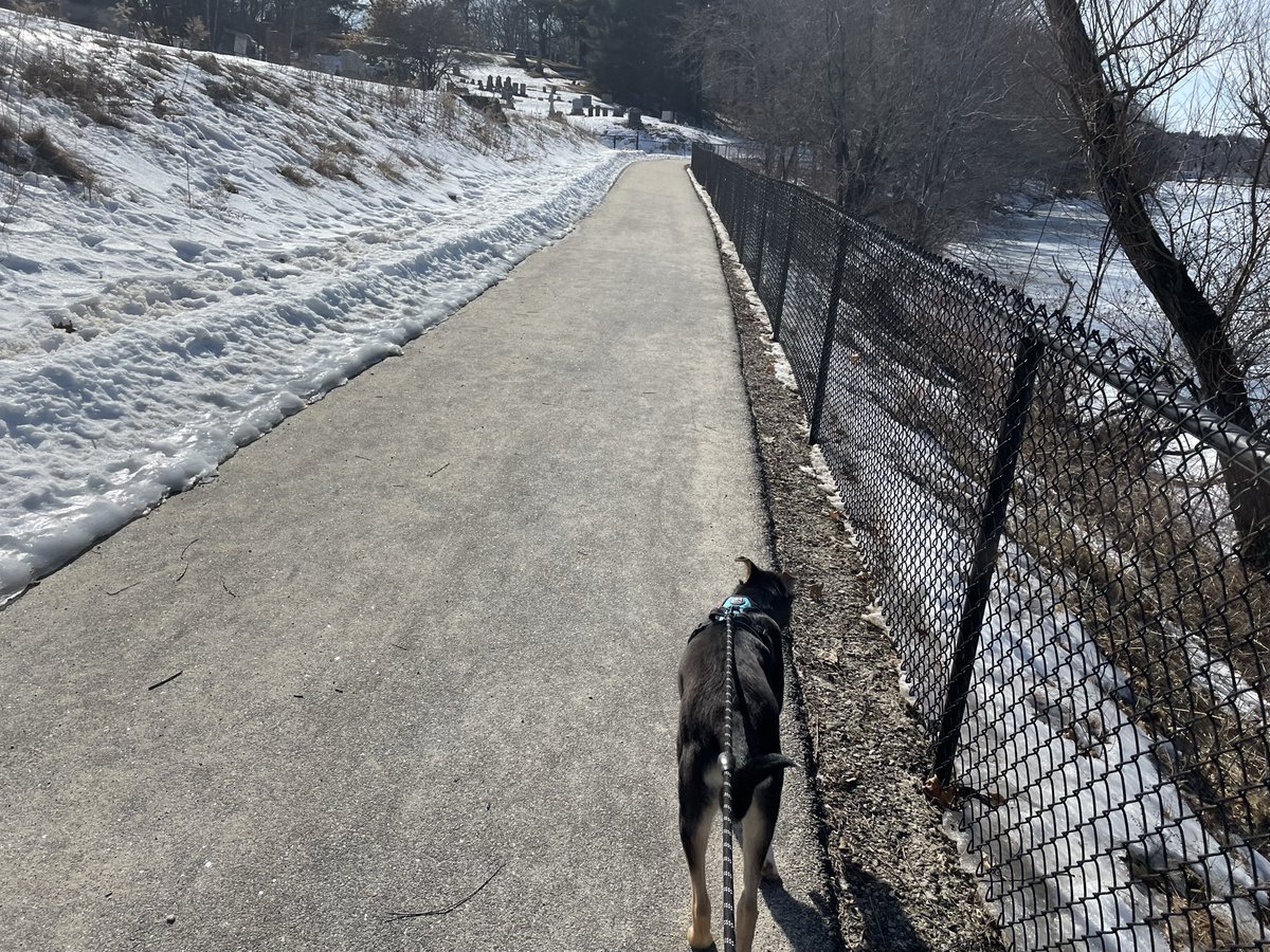 jayerich93's tweet photo. Idk who has enjoyed this break more. Me or the pups? https://t.co/Zz9ddSnpXB