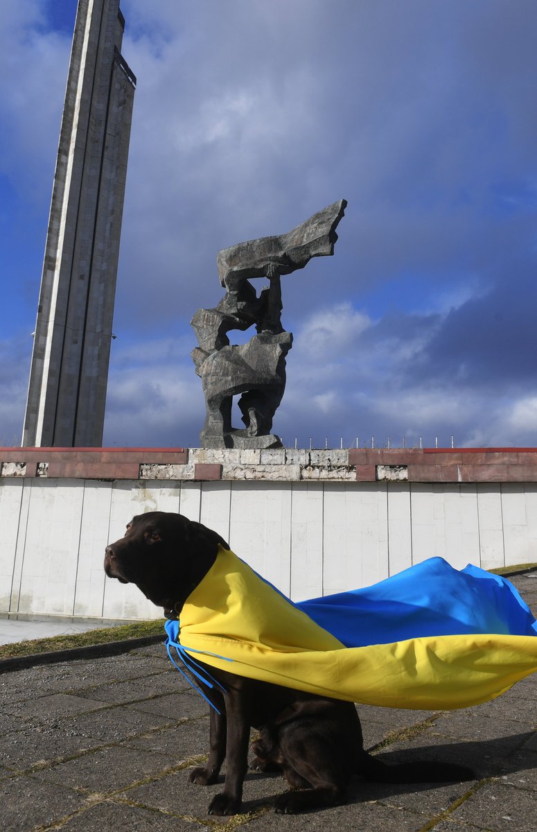 Mēs ar Pirātu bijām pastaigā