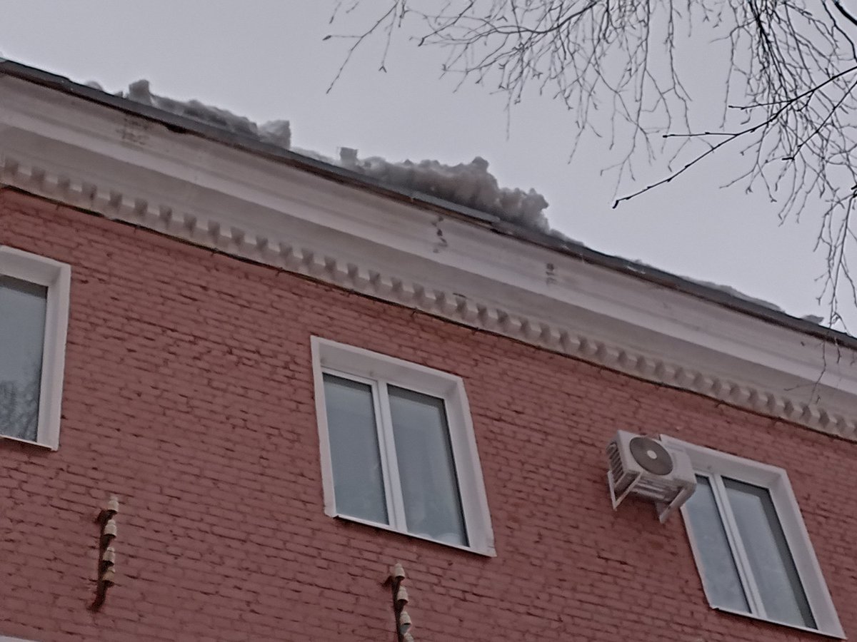 Светлана tweet media