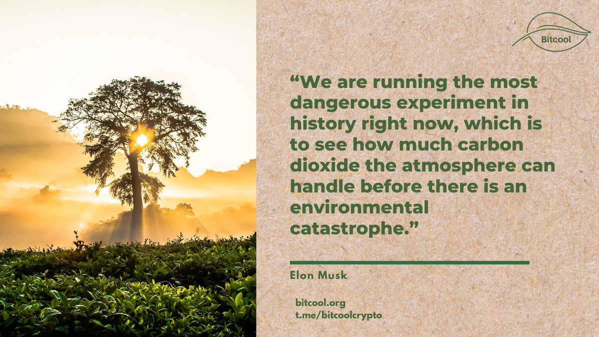 Bitcool 🌱 tweet media