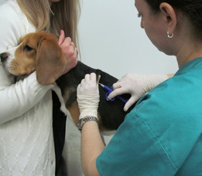 25.02.2021 года в режиме видеоконференции проведены публичные обсуждения с представителями зоозащитных организаций по результатам правоприменительной практики и соблюдения обязательных требований в области обращения с животными.
vk.com/club192849194?…