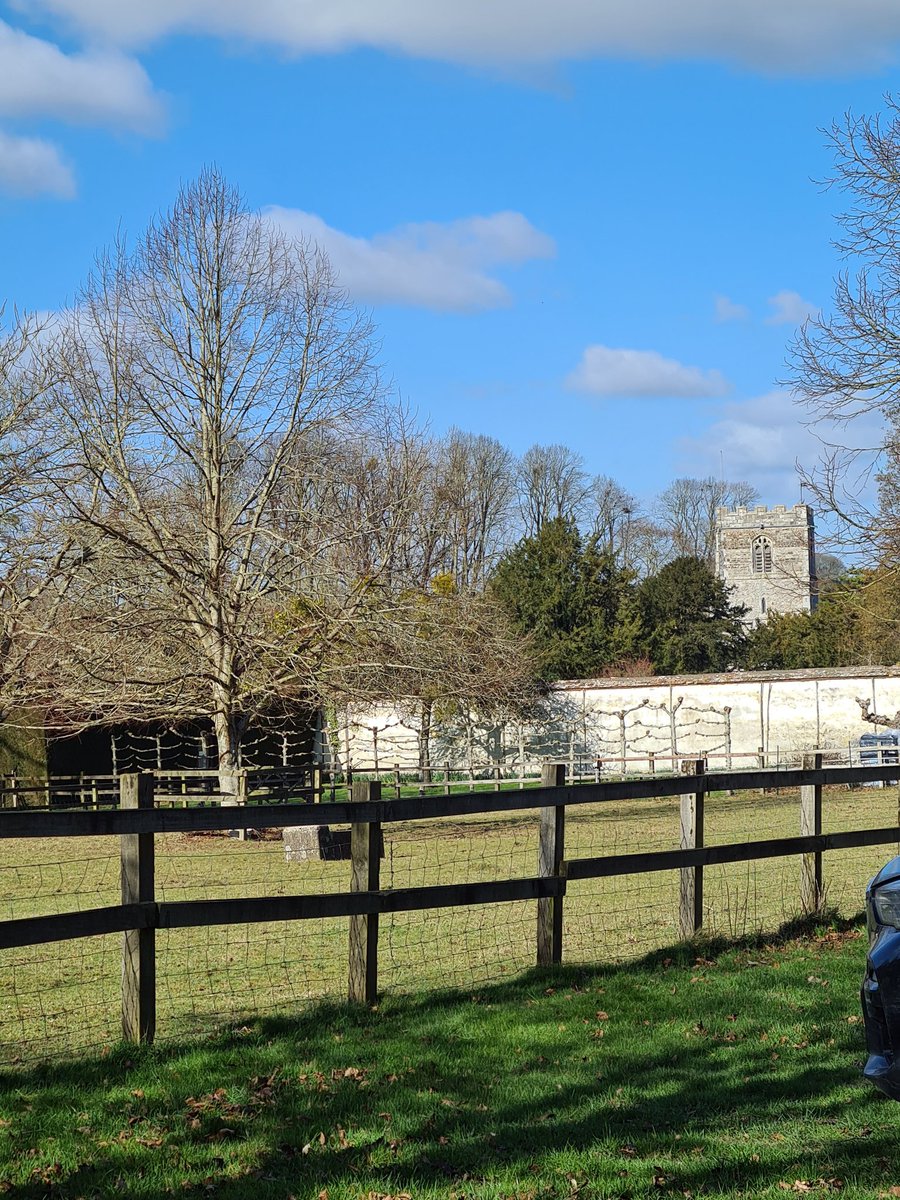 View for lunch today