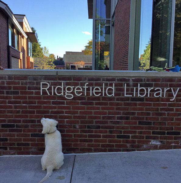 Ridgefield Library tweet media