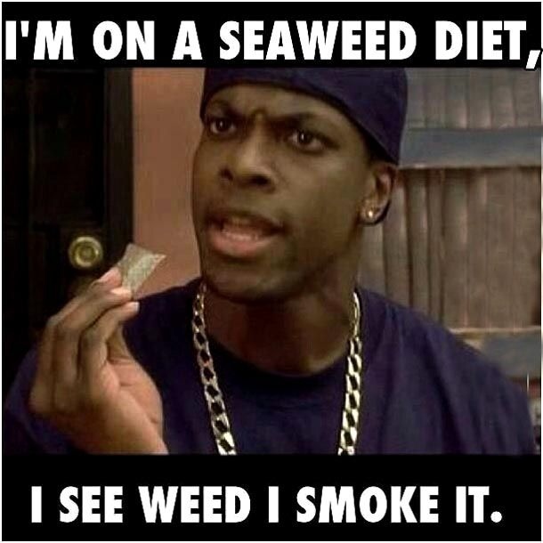 CryptoCannaClub's tweet photo. GM Tokers💨
#CCC https://t.co/eEdZi3eNAx