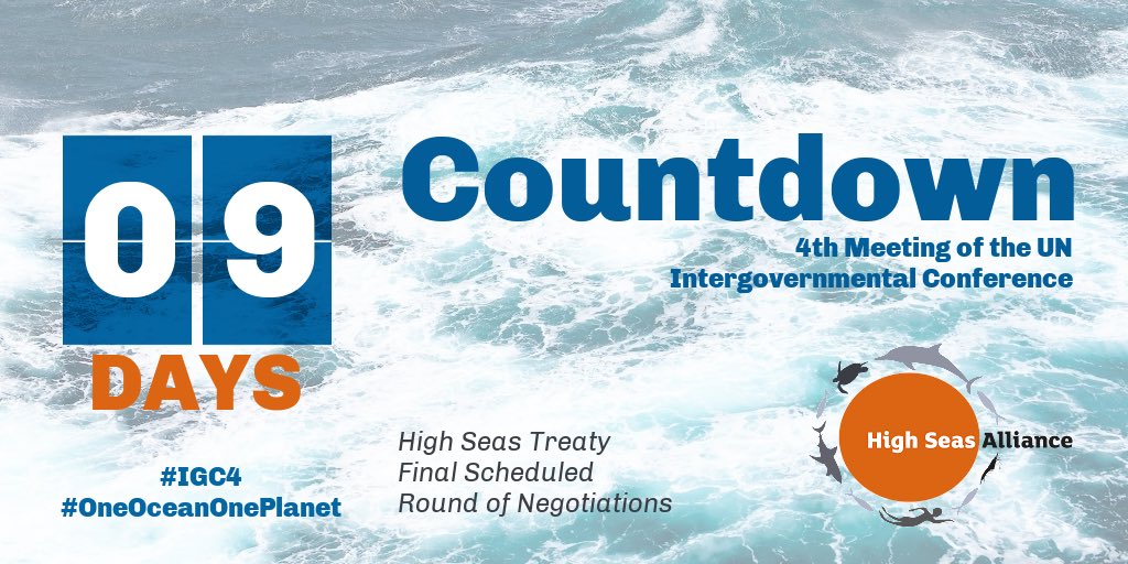 HighSeasAllianc's tweet image. Status quo will not save the #ocean or protect us from climate breakdown.

An effective #HighSeasTreaty for the ocean must be strong and future facing. 

9 days to go until #IGC4! highseasalliance.org #HighSeas #BBNJ #OneOceanOnePlanet #ListenToTheOcean
