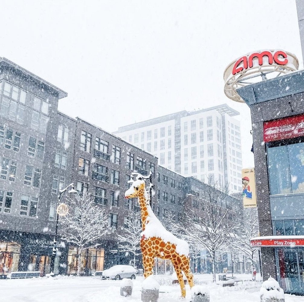 AtAssemblyRow's tweet image. We&apos;re still shoveling out but will open on time today! Drive safe if you&apos;re coming to visit!