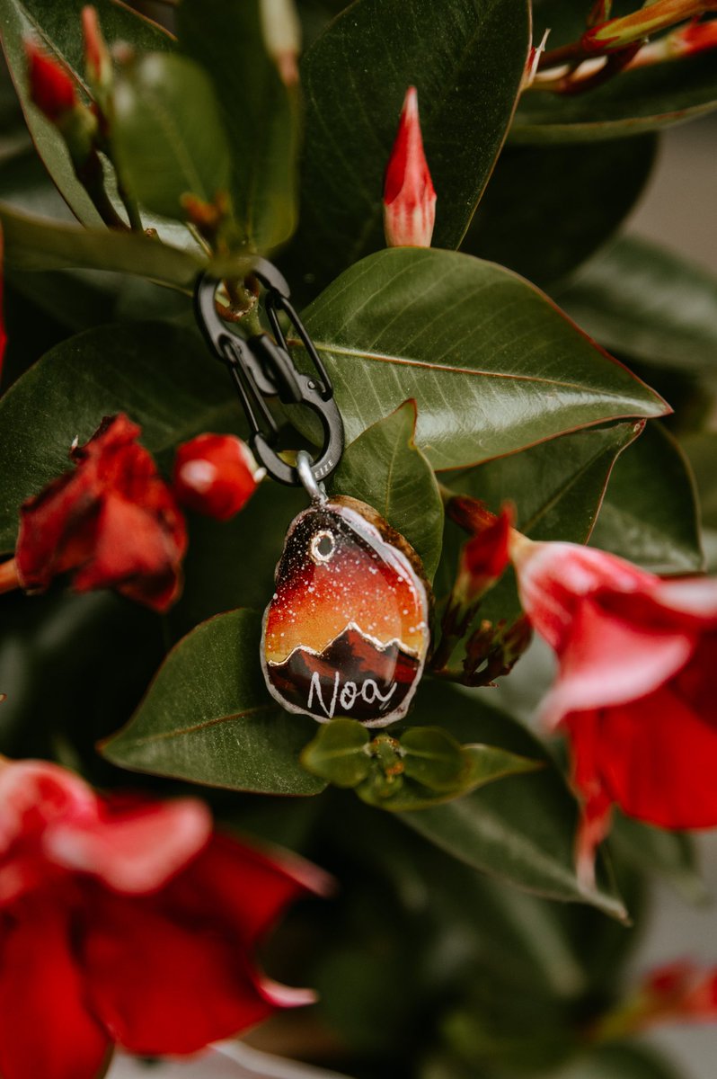 wildwithnoa tweet media