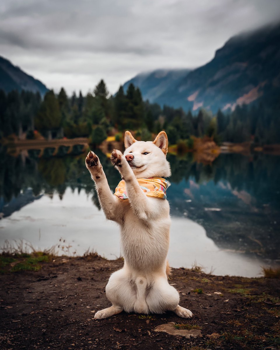 Ryōken Instinct tweet media