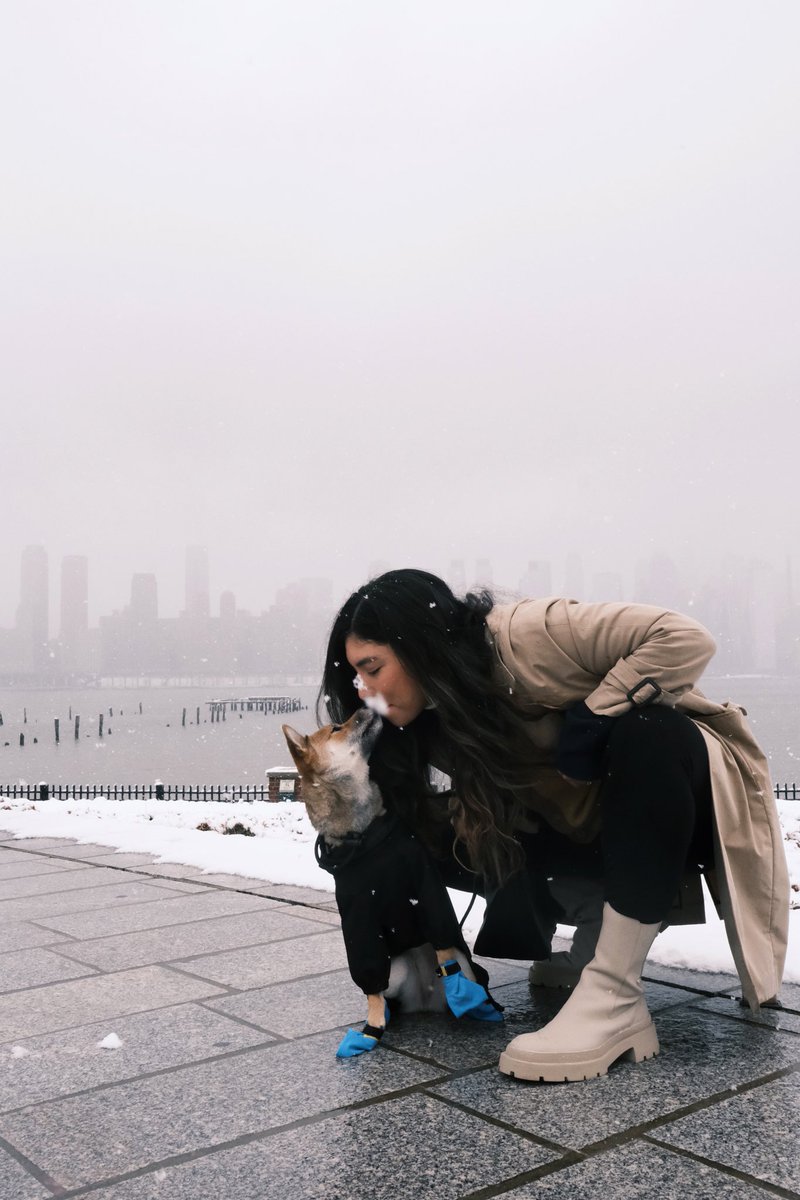 Good morning #twitterdogcommunity 👋🏼 thought it was time for a proper introduction!

This is Summer a 1 year old Shiba Inu and I am Lorenia! &amp; We live in NJ 📍with Mos (dog dad) ❤️

Leave your IG below I’d love to connect!👇🏼

#dogsofinstagram #dogsoftwitter