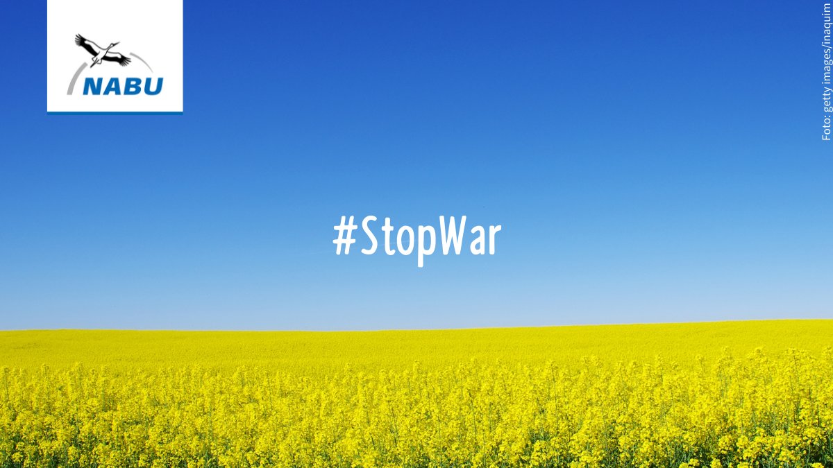 NABU_de's tweet photo. Wir sind betroffen von dem Überfall auf die Ukraine. Mehr denn je müssen wir ein starkes Zeichen für den Frieden setzen. Wir sind in Gedanken bei unseren Partnern und Mitarbeitenden vor Ort, stehen in Kontakt &amp; helfen, wo wir können. Menschen und Natur brauchen Frieden. #StopWar https://t.co/fUrMZfOIlE