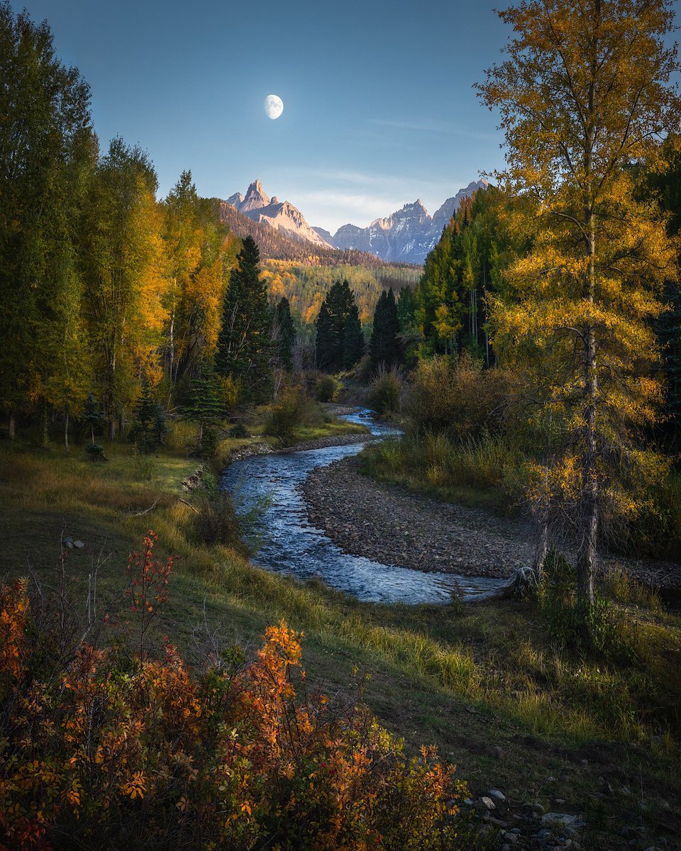 benstraussphoto's tweet photo. Homeostasis https://t.co/ZBcGLtVCgY