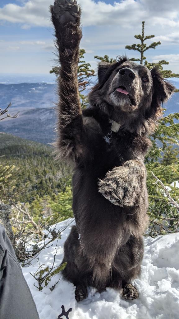 beastsinthenortheast tweet media