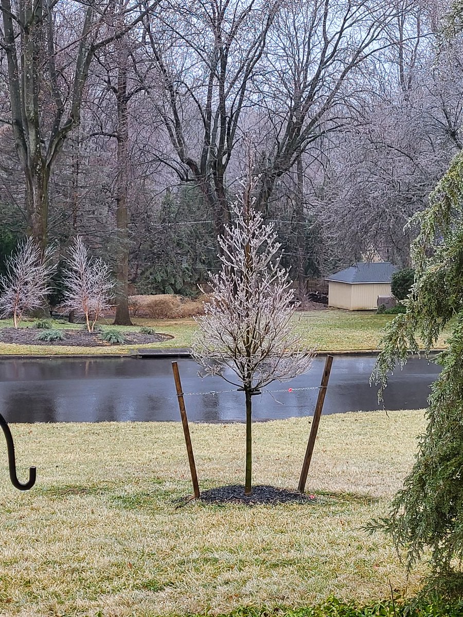 JaneDumsha's tweet photo. Ice ice baby in #HuntingdonValley @MontcoPA @LlarisaAbreu https://t.co/eNYumjRNmq