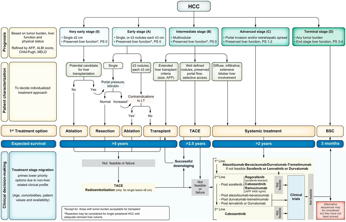 Journal of Hepatology tweet media