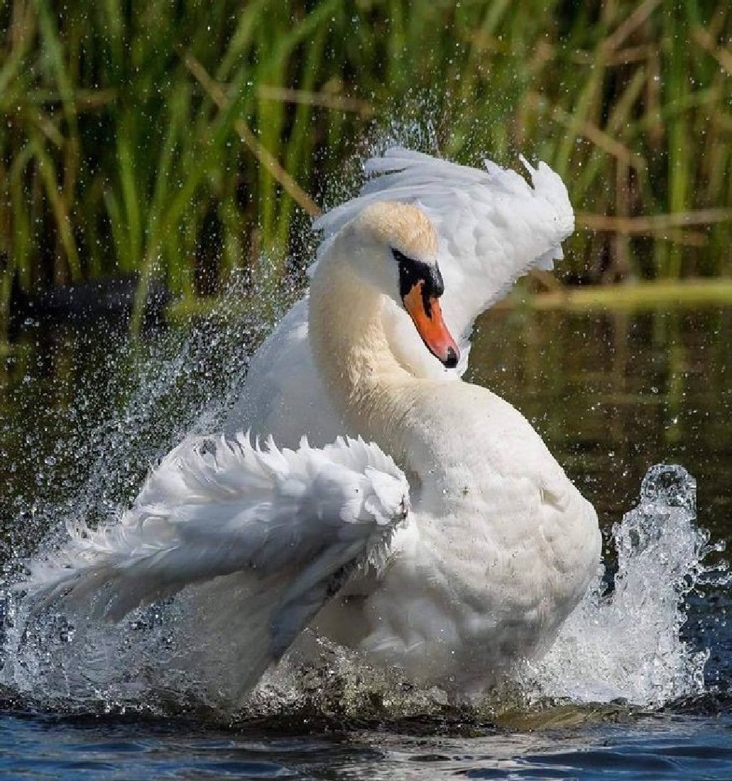 protegertuambi2's tweet image. #NatureBeauty #photographylovers #photooftheday