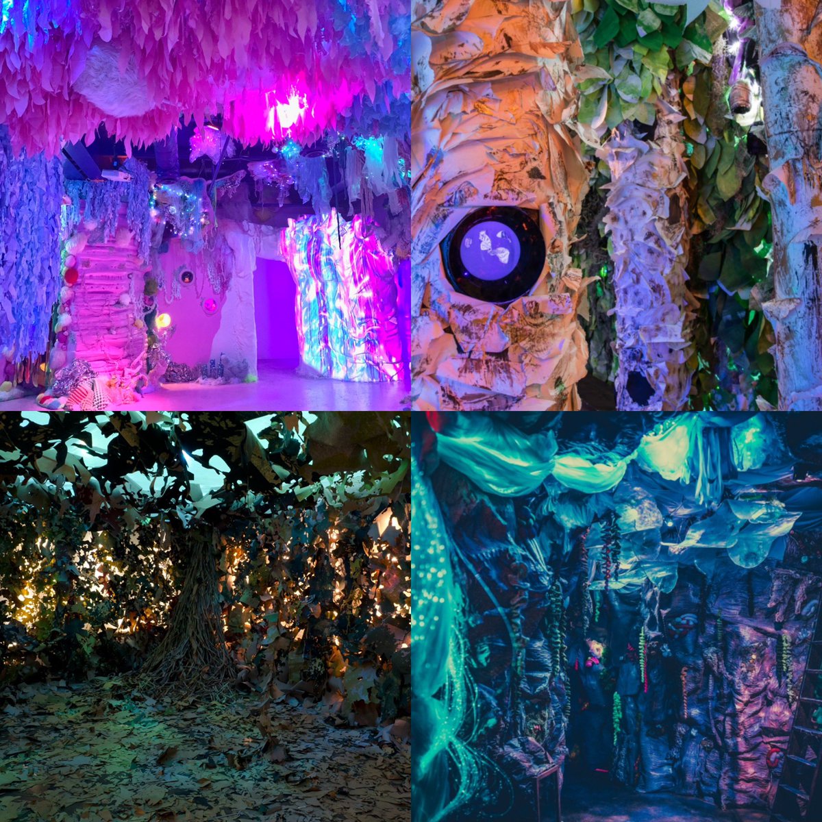 eelatham's tweet photo. @kristinadeckert Hi! I’m an installation artist and printmaker (and birder) from Oklahoma, I create large scale environments and I would love to talk about creating something that explores birds/environments for the Audubon society!! https://t.co/SgsIxXVVGC