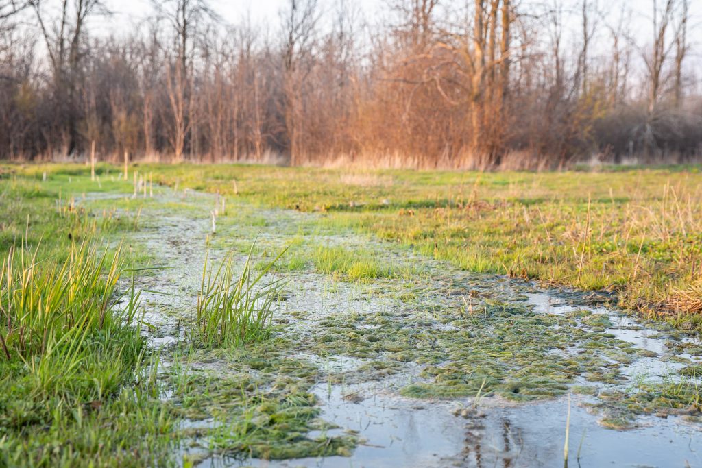 HamConservationFDN tweet media