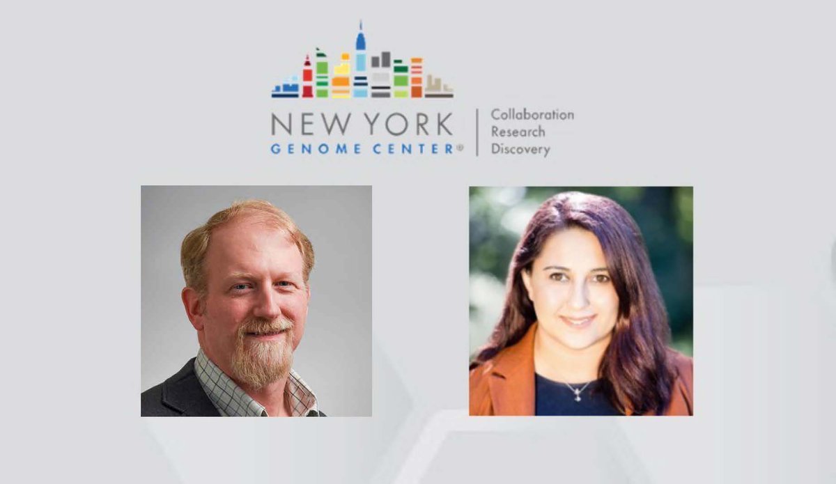 Precision Diagnostics tweet media