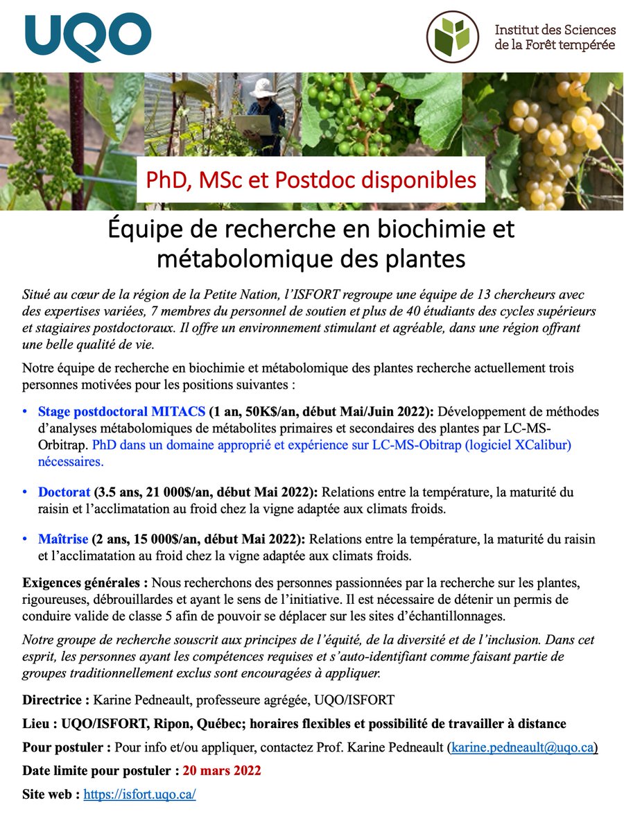 Currently recruiting! #ISFORT #viticulture #graduatestudies #PhD #doctorat #Masters #Maitrise #PostdocPosition  #stagepostdoctoral #LCMS #orbitrap #plantphysiology #metabolomics #plantscience #climatechange #CanadaWine #QCWine #Resistantvarieties #Coldhardygrapes RT please