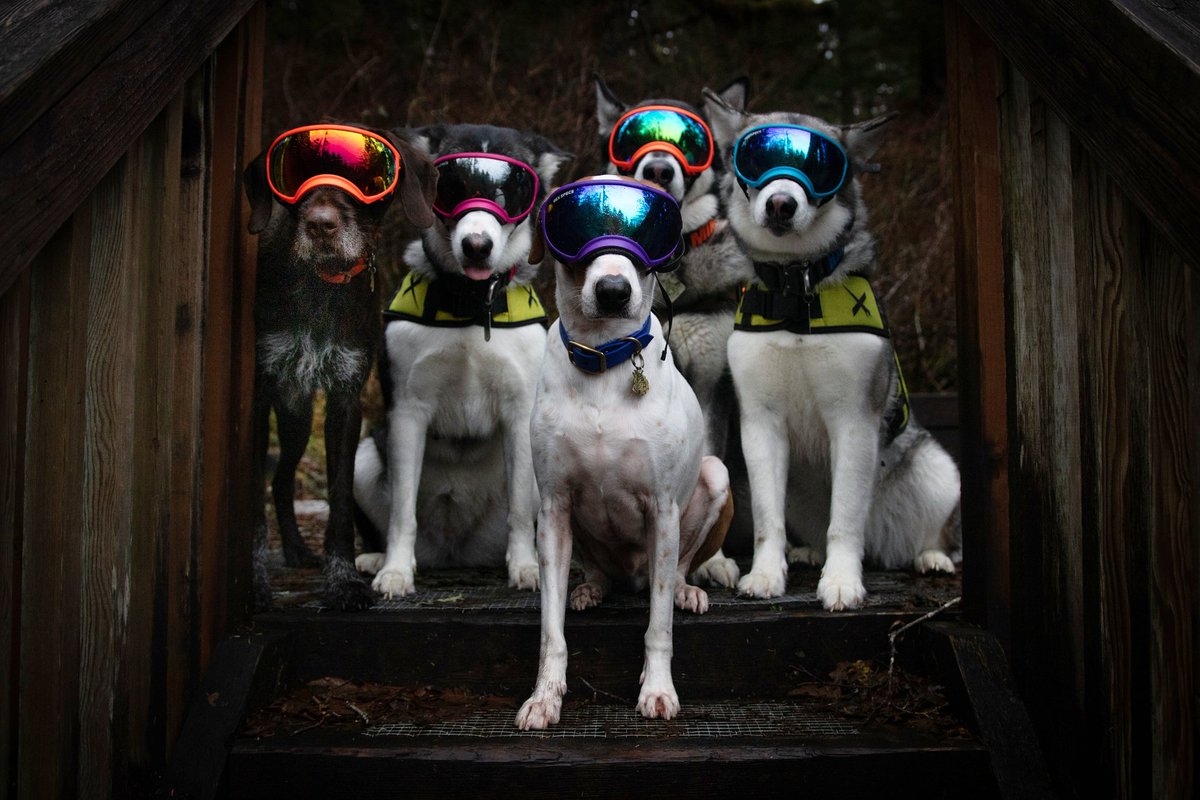 Heidi, Toph & Aang tweet media