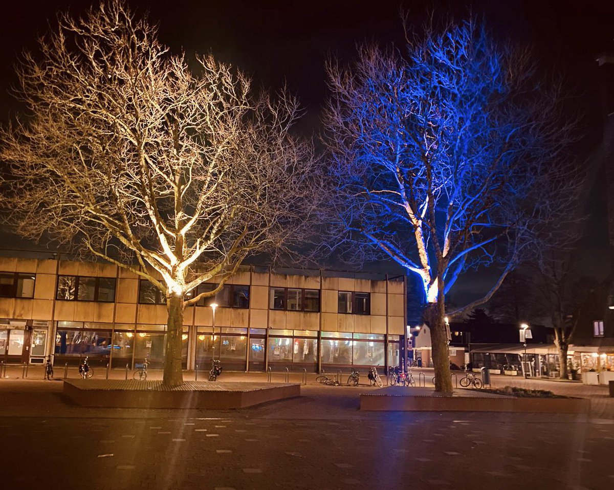 Op het Raadhuisplein in Pijnacker zijn de bomen verlicht in de kleuren blauw en geel. Ook onze gemeente leeft mee met de bevolking in #Oekraïne 🇺🇦