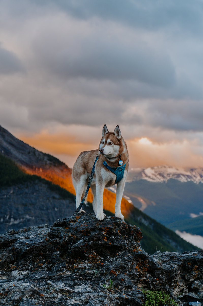 STORM ⚡️ tweet media