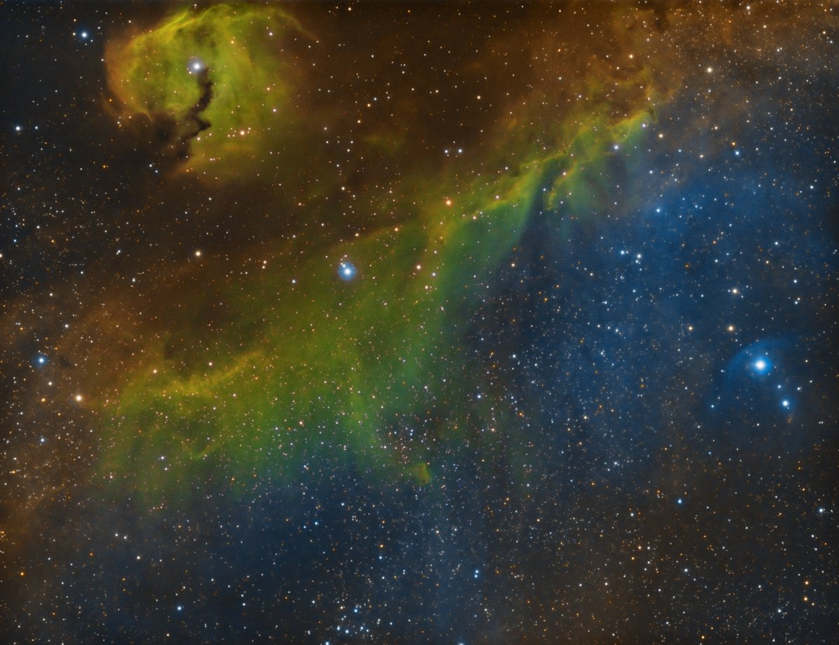 astro_se's tweet photo. IC 2177 - Seagull Nebula

First image with the SVX102T! https://t.co/5dD6wXF5Kv
