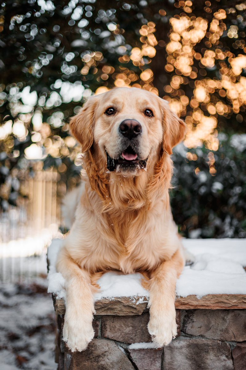 Atlas & Jordyn tweet media