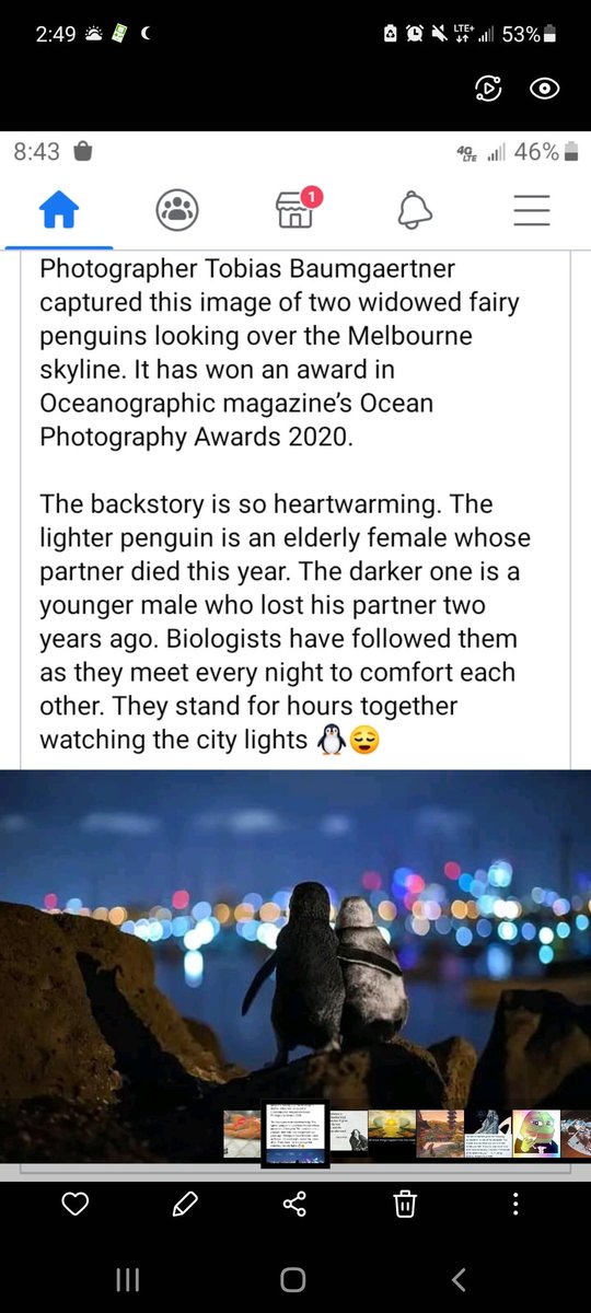 Never take nature for granted. It is from her bosom that we all feed.

#nature
#naturelovers
#natureismagic