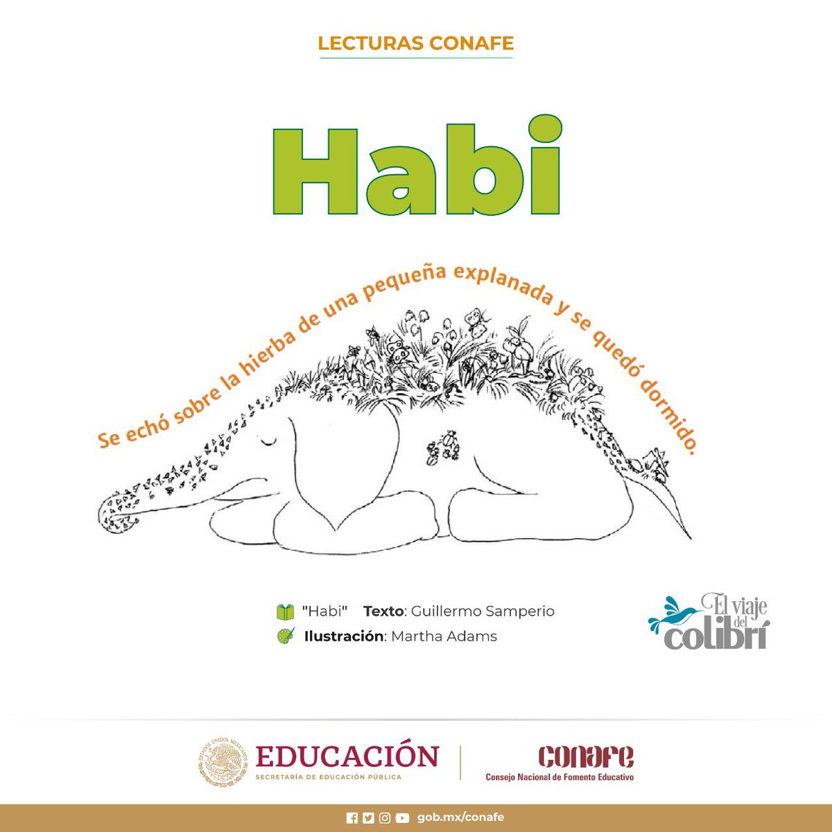 CONAFE_mx's tweet photo. Cierra los ojos e imagina a un pequeño elefante🐘 y a su madre en la selva, rodeados de changos🐒, rinocerontes🦏, tigres🐯 y aves🐦. Escucha el #AudioLibroConafe🎧 en lengua Mixe, "Habi". Sigue sus aventuras en la versión escrita de Guillermo Samperio.
👇
https://t.co/ARBlmL2Vcx https://t.co/pceemqIdl7