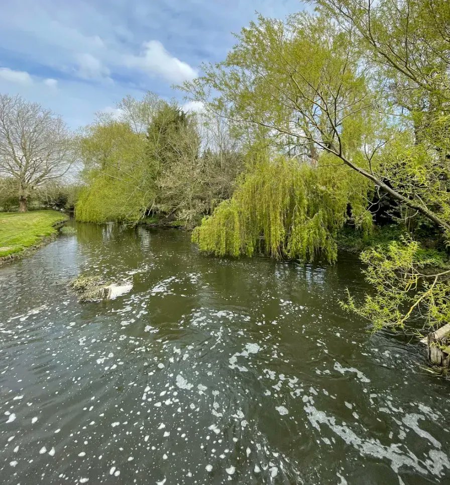 𝗦𝘁𝗼𝗸𝗲 𝗠𝗶𝗹𝗹 𝗥𝗲𝘀𝘁𝗮𝘂𝗿𝗮𝗻𝘁 tweet media