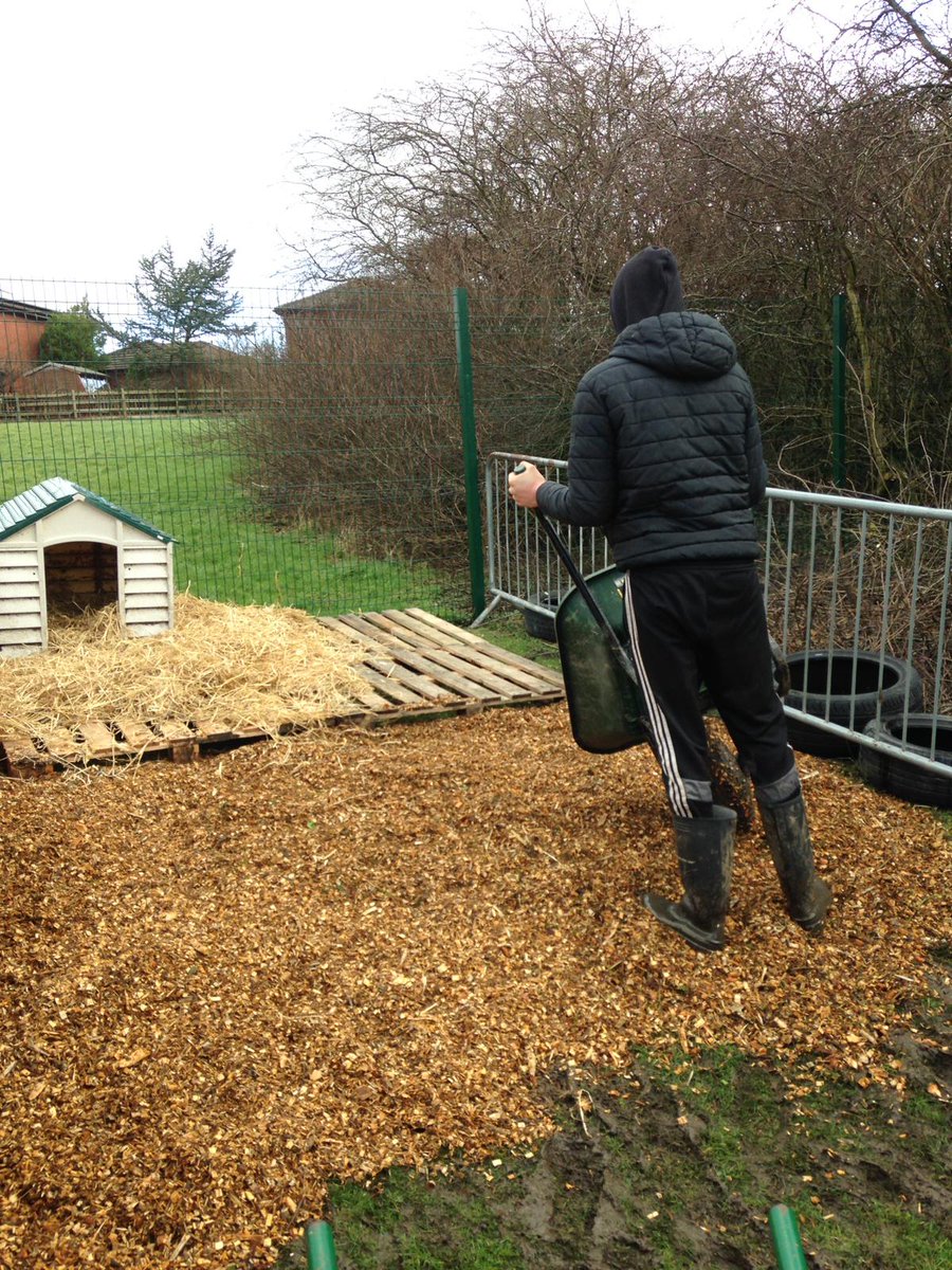 Livvi_Fay's tweet photo. Amazing efforts to make the goats a dry area as they have been struggling with the wet weather. Great day for it.☀️#animalcare #happygoats #LPTF #schoolfarm @LeverParkSchool @bolton_pru https://t.co/Mcm6wMZUXg