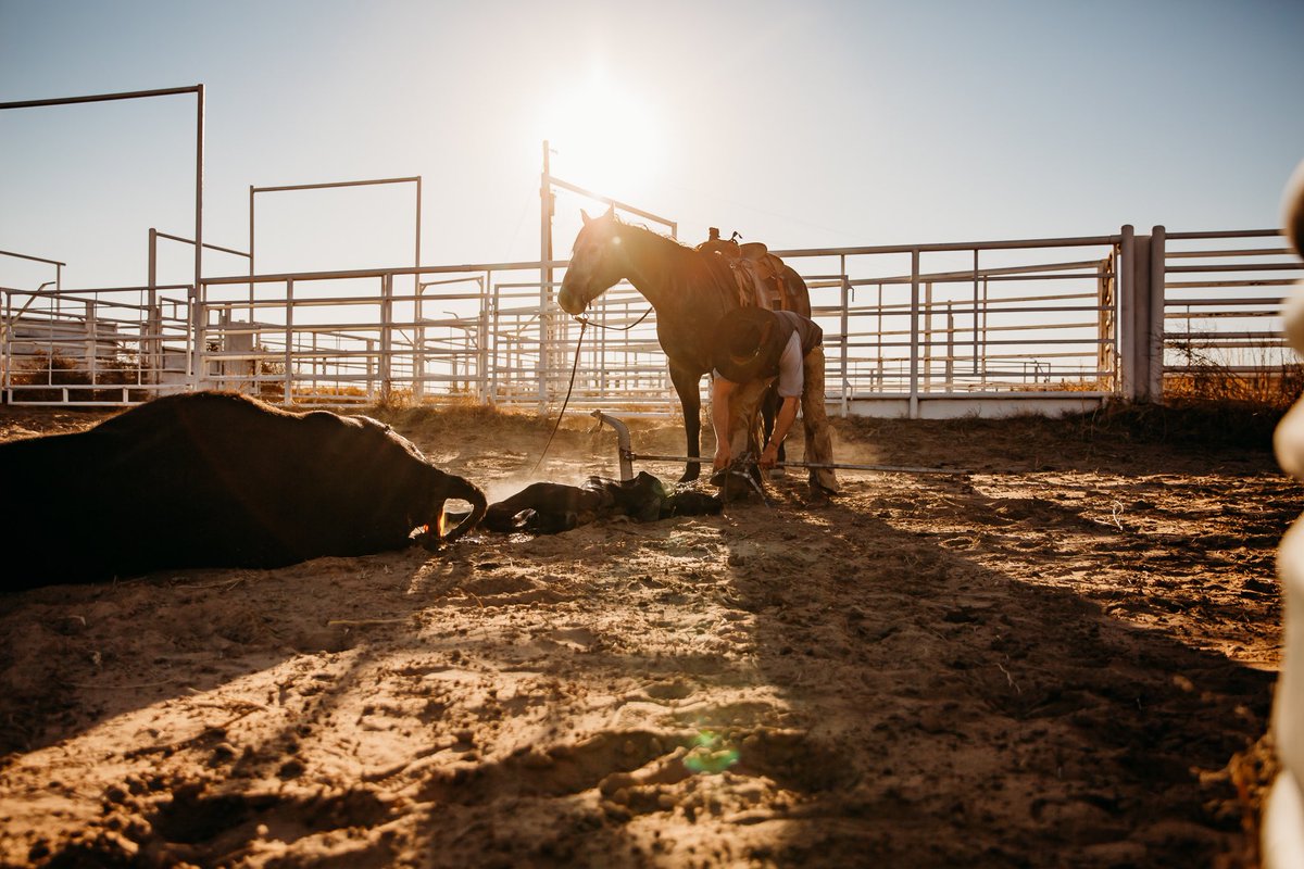 The reward outweighs the difficulties.