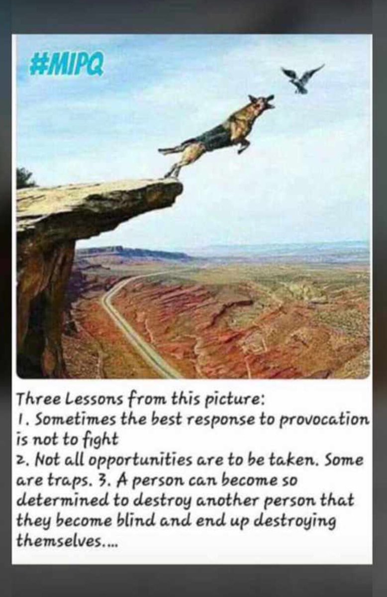 Henrymass_'s tweet image. Food for thought 💭 #reactwisely #food #anger 💙💙💙