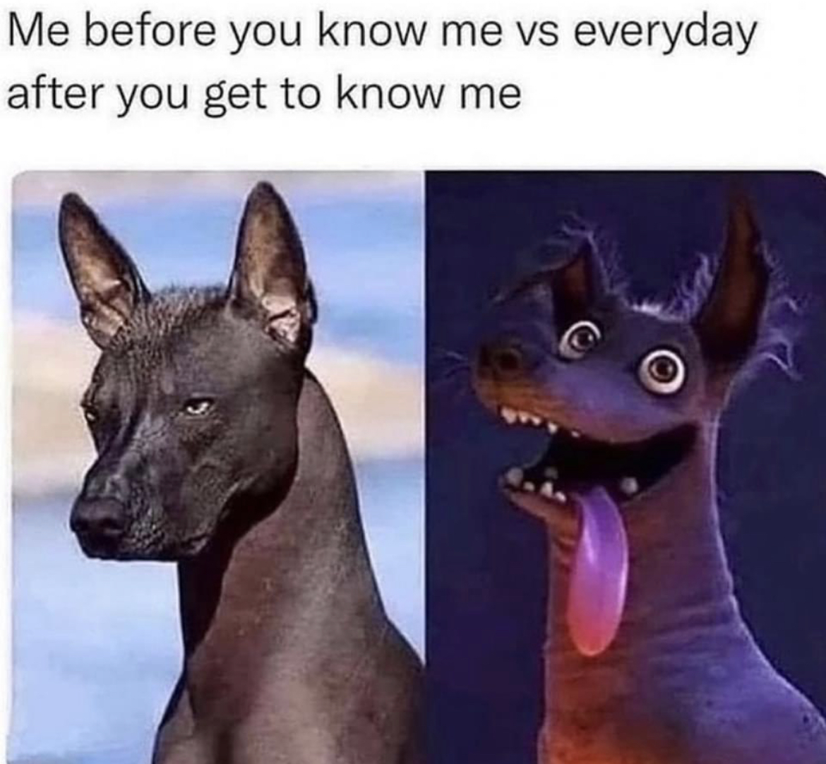 RespectfulMemes's tweet photo. https://t.co/jlrMSWPbns
