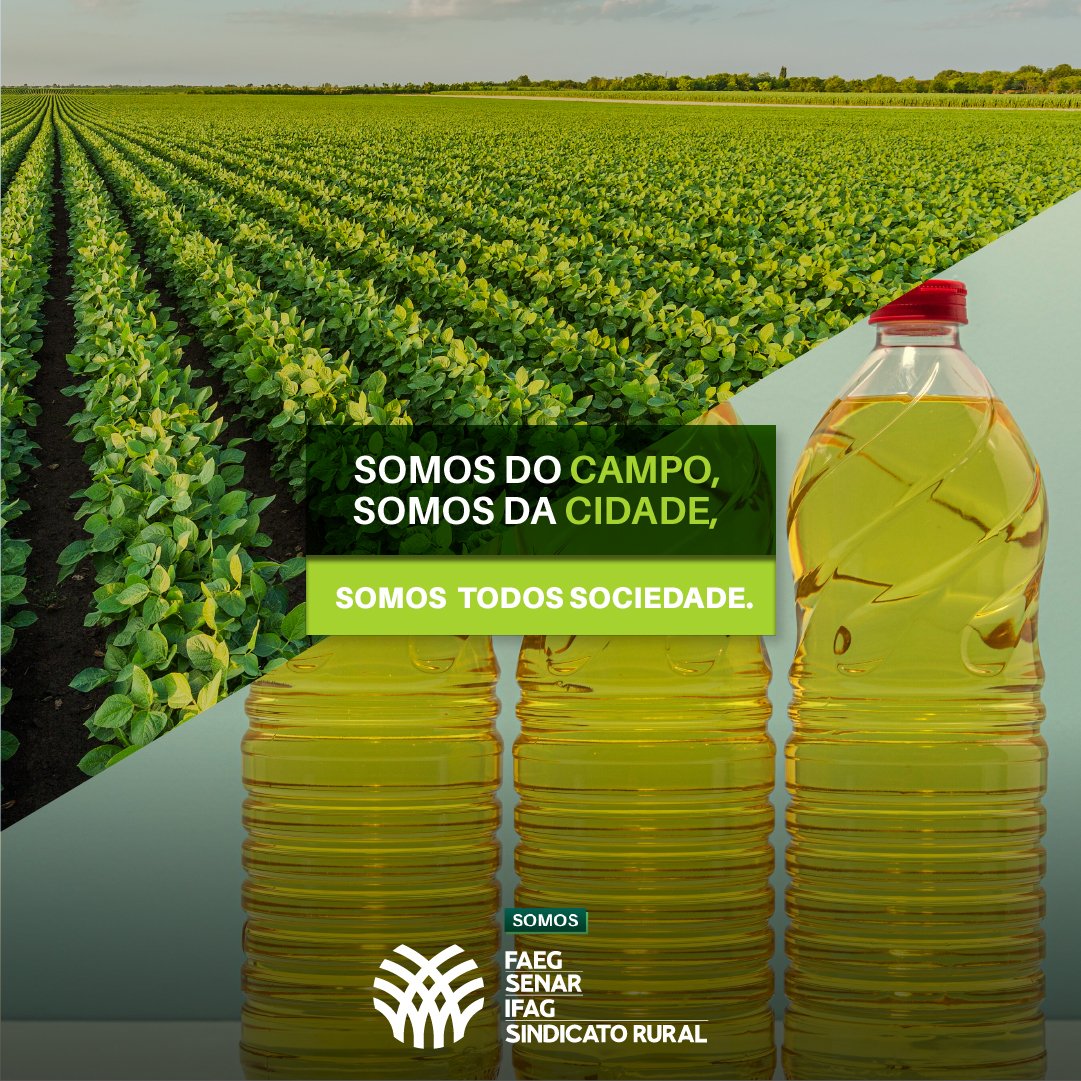 SistemaFaeg's tweet photo. ☕🍛 O cuidado do #produtorrural está no feijãozinho na hora do almoço, no churrasco de domingo e no cafezinho no meio da tarde. Temos orgulho em representar essa classe que tanto trabalha para garantir o alimento na mesa e servir com presteza.
#SistemaFaeg #SenarGoias https://t.co/ifskwfzMxq