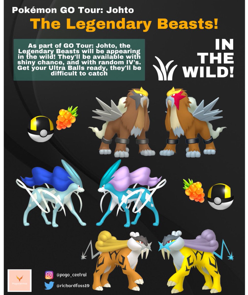 How to take a wild snapshot of Raikou, Entei, and Suicune during Pokémon Go Tour: Johto - Dot Esports